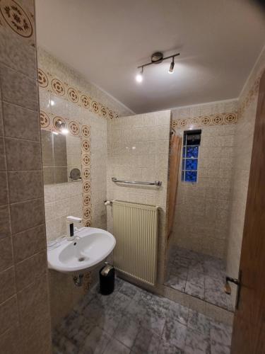 a bathroom with a sink and a shower at Ferienwohnung Mein Zuhause in Pottenstein