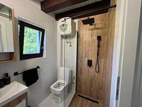 a bathroom with a toilet and a glass shower at Holiday home Residence Green in Visoko