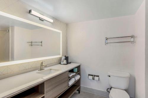 a bathroom with a sink and a toilet and a mirror at Comfort Inn & Suites Voorhees-Mt Laurel in Voorhees
