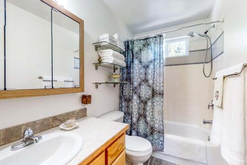 a bathroom with a sink and a toilet and a shower at Hibernation Station at Big Pine Retreat in Crescent