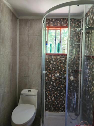 a bathroom with a toilet and a glass shower at Cabañas Baño de Bosque Pucón in Pucón