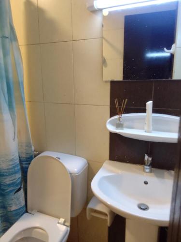 a bathroom with a toilet and a sink at شقه غرفتين مفروشه in Sharjah