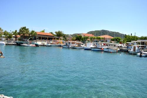 a group of boats are docked in a harbor at Kathara Bay Apartments in Faliraki