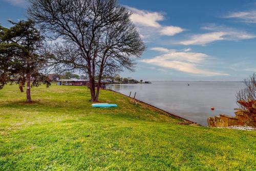 a tree and a blue frisbee on the grass by the water at The Mystic in Livingston