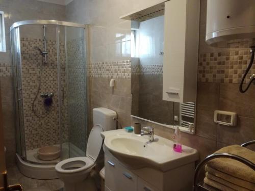 a bathroom with a toilet and a shower and a sink at Apartment Kukljica 8237b in Kukljica