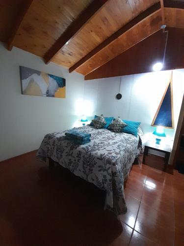 1 dormitorio con 1 cama en una habitación con techos de madera en Encanto Rural - Casa de campo para disfrutar y olvidar el estrés, en Putaendo