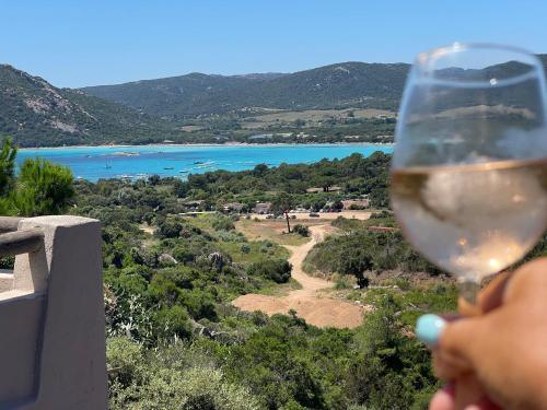 une personne détient un verre de vin dans l'établissement Villa Bella Vista, à Porto-Vecchio