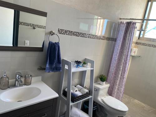 uma casa de banho com um lavatório, um WC e um espelho. em Casa Kaan ha em Mérida