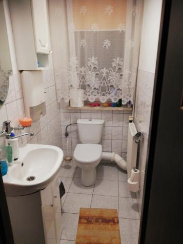 a small bathroom with a toilet and a sink at U Sowy in Kołobrzeg