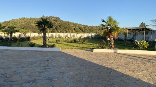 a yard with two palm trees and a fence at GUITAR PALACE - Chambres d'hôtes in Bni Quolla