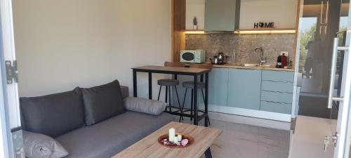 a living room with a couch and a kitchen at Elais Luxury Villas in Parga