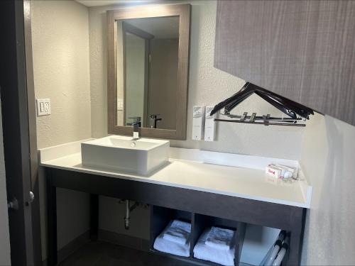 La salle de bains est pourvue d'un lavabo blanc et d'un miroir. dans l'établissement Red Roof Inn Bourbonnais, à Bourbonnais