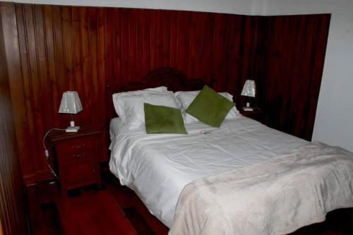 1 dormitorio con 1 cama con 2 almohadas verdes en La Casa Central d' Ana - Departamento amoblado, en Cajamarca