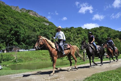 a group of people riding horses down a road at LUCENT in Toyohira