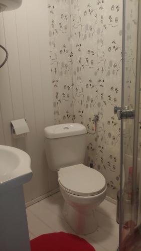 łazienka z toaletą i zasłoną prysznicową w obiekcie Domki Tomek Bieszczady 509-000-966 w Polańczyku
