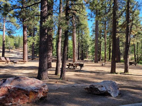 a park with benches and a large rock and trees at Four Seasons Getaway-Private Hot Spa with Pine Tree Views-Walk to Village and Pineknot Trailhead-Plus King Bed! in Big Bear Lake