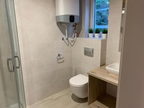 La salle de bains est pourvue de toilettes et d'un lavabo. dans l'établissement Domki letniskowe Ibiza, à Dźwirzyno