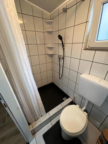 un piccolo bagno con doccia e servizi igienici di Apartment Mona Vir a Vir (Puntadura)