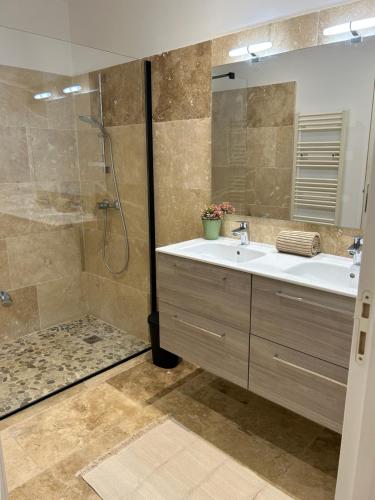 bagno con lavandino e doccia di Gîte à la ferme avec Piscine & Spa a Arles