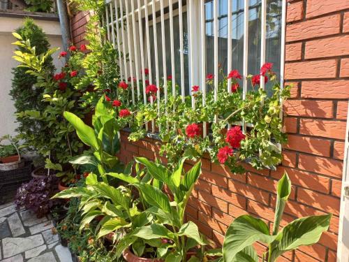 a garden with red flowers on a brick wall at Little Paradise in Sarajevo