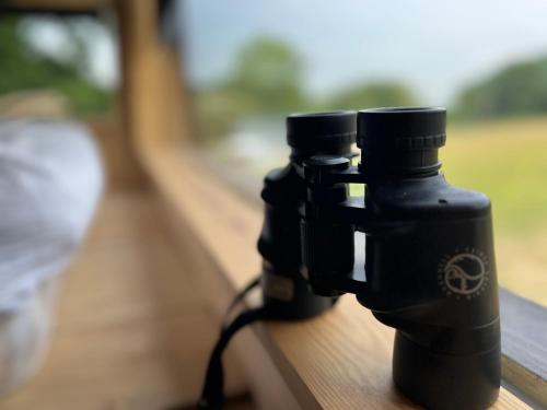 a pair of binoculars sitting on a wooden rail at Hop and hare farm in Hastings