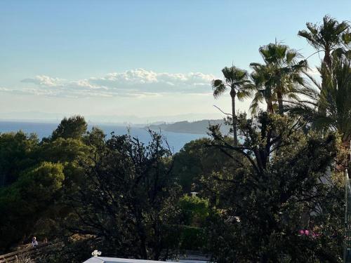 a view of the ocean and palm trees at Faro 3 in Torredembarra