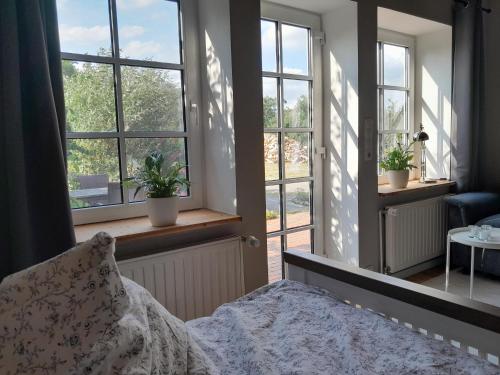 a bedroom with windows and a bed in a room at Ferienwohnung Wussegel in Hitzacker