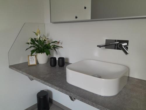 a white sink on a counter in a bathroom at Ferienwohnung Wussegel in Hitzacker