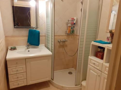 uma casa de banho com um chuveiro e um lavatório. em Nice Fabron 90 m2 avec Garage em Nice