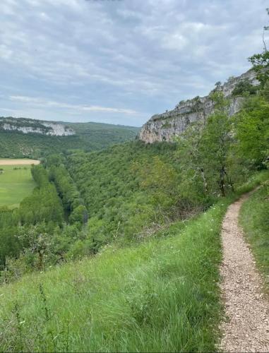 un chemin de terre sur une colline herbeuse avec des arbres dans l'établissement Petit coin tranquille, à Brengues