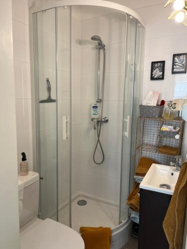 La salle de bains est pourvue d'une douche, de toilettes et d'un lavabo. dans l'établissement Coup de Cœur, à Trouville-sur-Mer