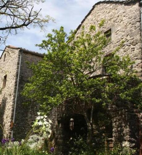 un vieux bâtiment en pierre avec un arbre en face de lui dans l'établissement Maison Larzac Cevennes Grand Gite, à Vissec