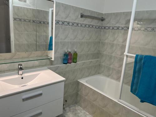 une salle de bain avec un lavabo, une baignoire et une douche dans l'établissement 2 pièces, 4 couchages terrasse, garage, à Cannes