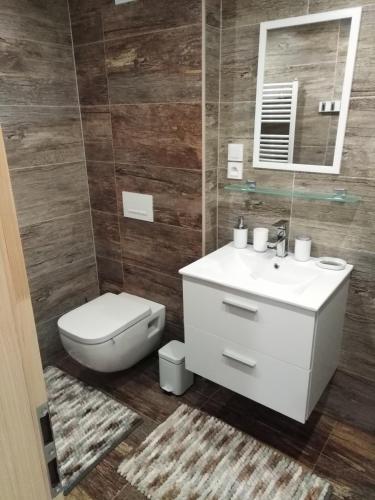 a bathroom with a toilet and a sink and a mirror at Ski park Gruň in Staré Hamry