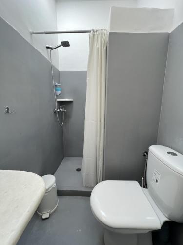 a white bathroom with a toilet and a shower at Hotel Anezina in Drios