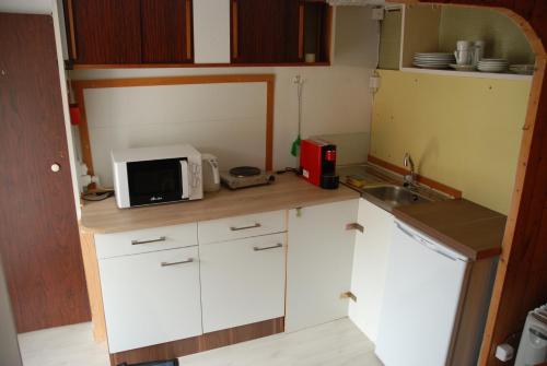 a small kitchen with white cabinets and a microwave at Hostel Le Chandelier in Saint-Ursanne