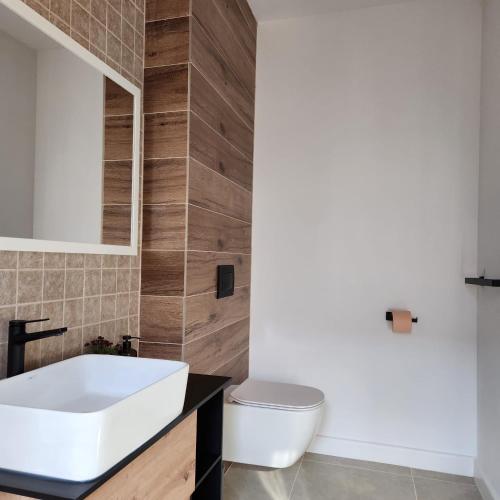łazienka z białą umywalką i toaletą w obiekcie My room accommodation w mieście Curtea de Argeş