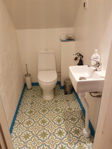 ein Bad mit einem WC und einem Waschbecken in der Unterkunft Rynge teaters boningshus in Ystad
