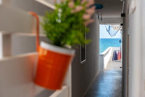 Saint blue beach - 12 – Photos 2