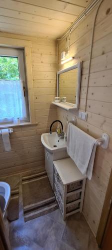 drewniana łazienka z umywalką i lustrem w obiekcie Domek nad rzeką w Łącku