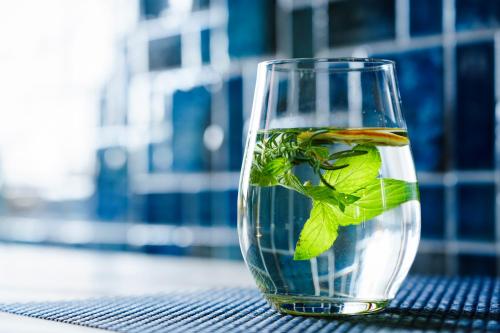 a glass vase filled with water with a plant in it at hotori in Kyoto