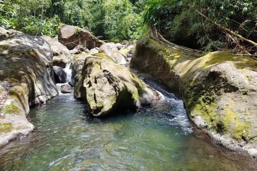 a stream of water with large rocks and trees at Maison La voûte plage à 50m et rivière à proximité in Vieux-Habitants