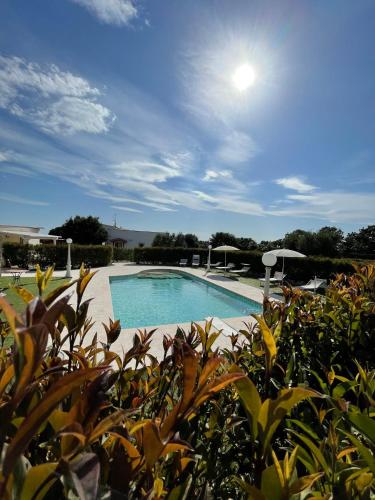 a swimming pool in the middle of a garden at Masseria Paglieroni in Martina Franca