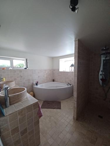 een grote badkamer met een bad en een wastafel bij Maison avec piscine et spa gonflable, 2 chats présents in Saint-Étienne-de-Montluc
