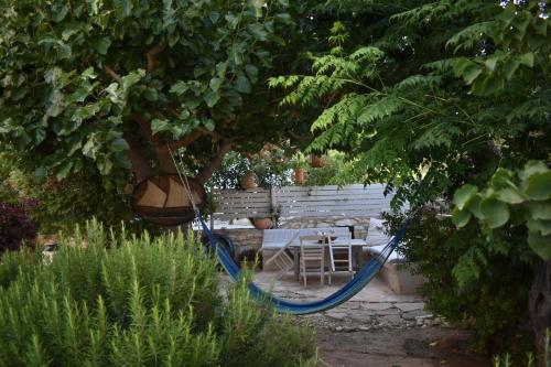 Ein Garten an der Unterkunft Kelly's