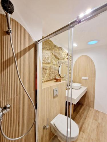a bathroom with a shower with a toilet and a sink at PEREGRINA in Villanueva de Arosa