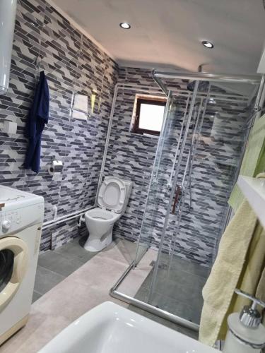 a bathroom with a shower and a toilet and a sink at Apartmani kod Kmeta in Janja