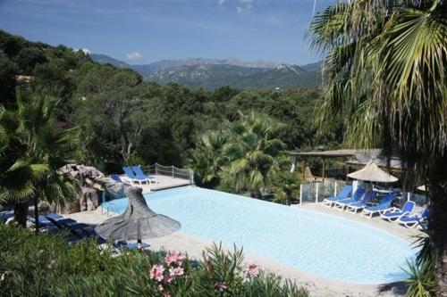 uma grande piscina com cadeiras azuis e árvores em Mini Villa St-Lucie Porto-Vecchio vue mer 5mnplage em Zonza
