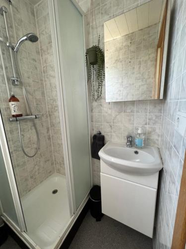a bathroom with a shower and a toilet and a sink at Summer house - Fíflholt in Hvolsvöllur