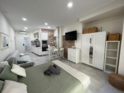 Precioso estudio en el centro de Málaga 1